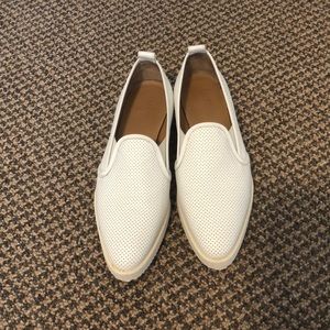 Everlane white sneaker